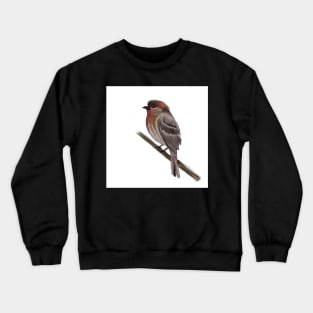 My purple finch friend Crewneck Sweatshirt